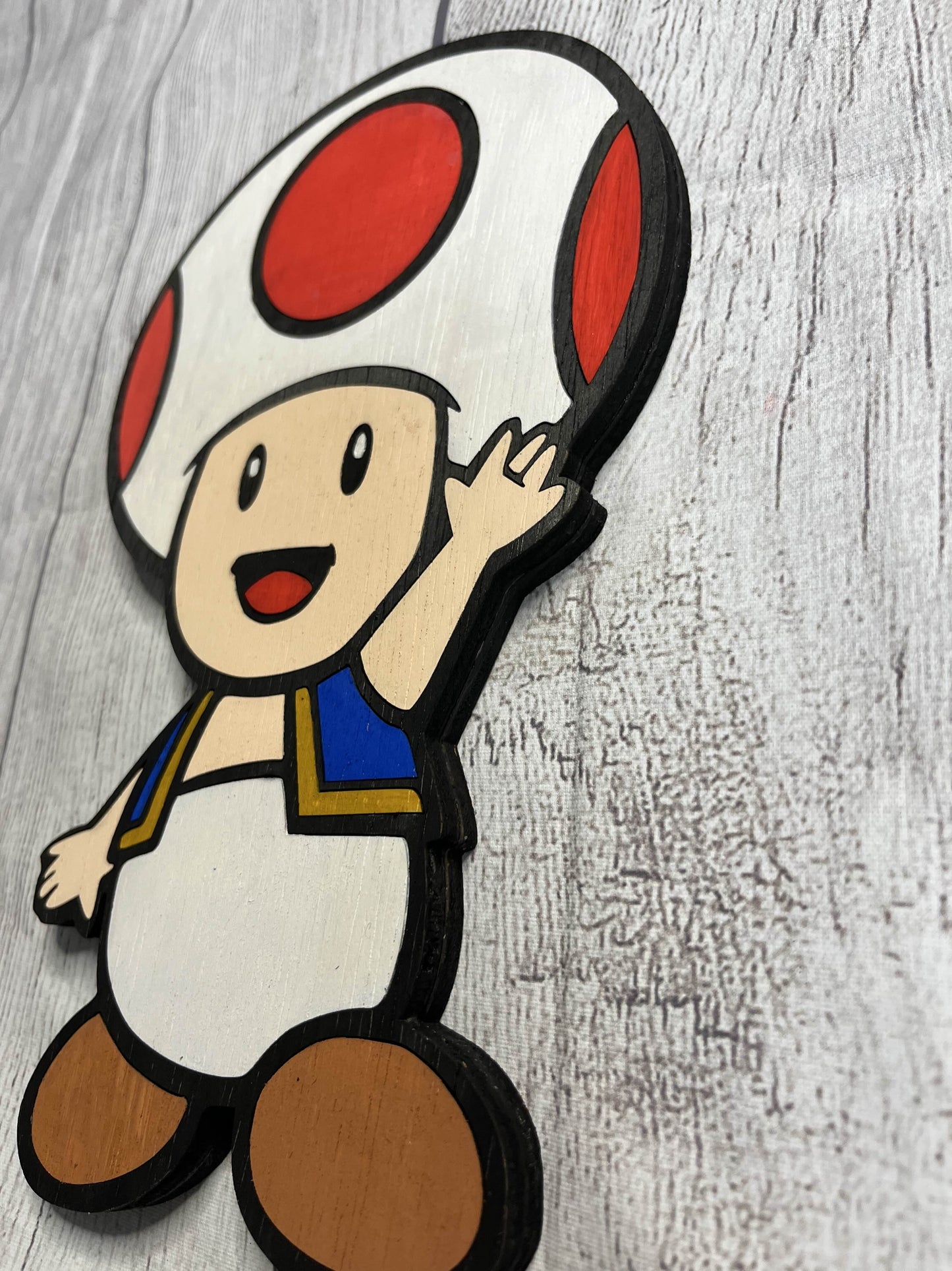 Toad Solid Wood Sign Wall Art